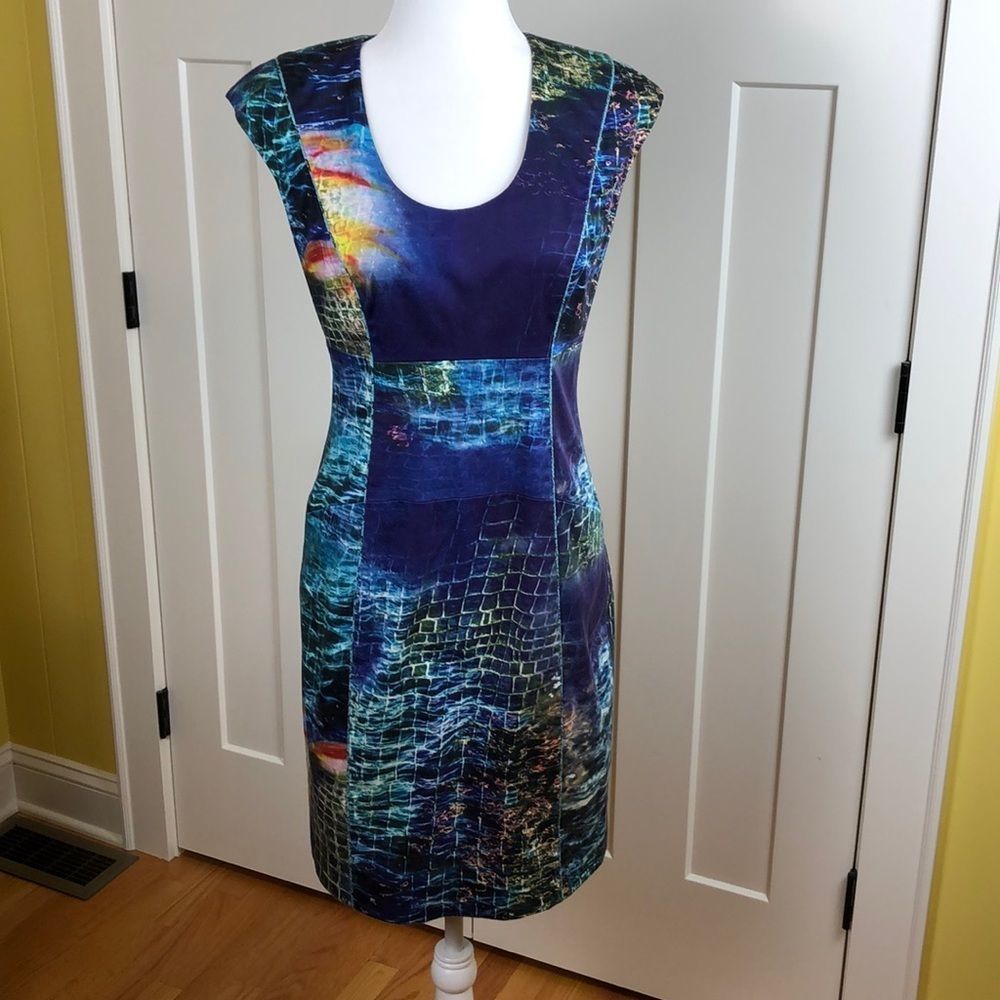 Rachel Roy dress